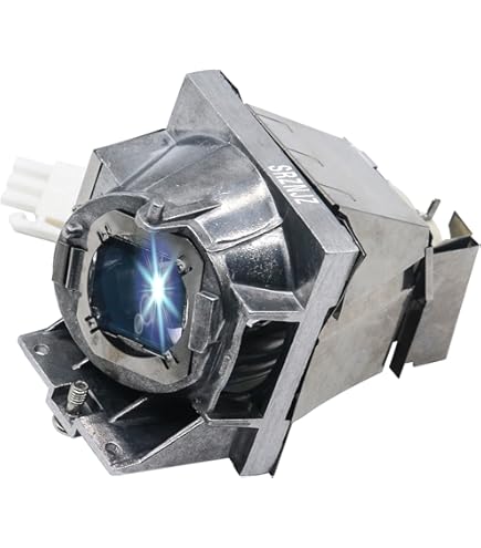 Amazon.com: KAIWEIDI RLC-079 Replacement Projector Lamp for