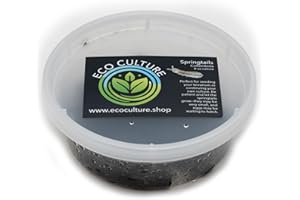 GENERIC Eco Culture Live Springtails, 8 oz Charcoal Substrate, for Terrariums and Live Food