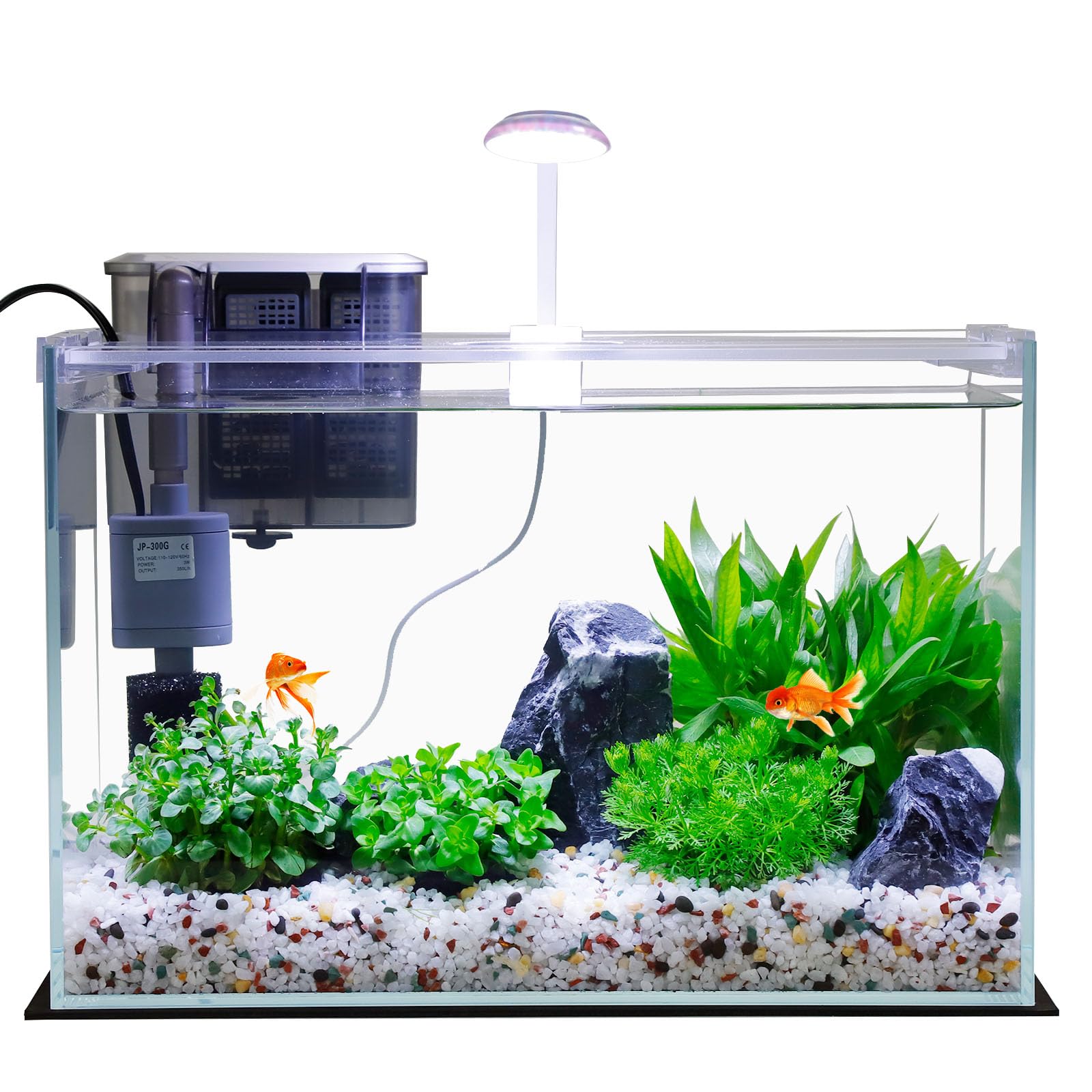 Photo 1 of 3 Gallon Glass Small Fish Tank, Betta Fish Tank Starter Kit with Filter, Lights,Lid.