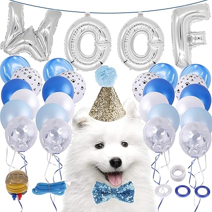 Amazon Com Locolo Dog Birthday Party Supplies 20 Pieces Blue