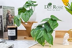 Der Rose 2Pcs Small Fake Plants Artificial Mini