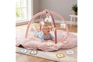 MALLIFY 5-in-1 Thick & Plush Baby Play Gym, Baby Play Mats for Floor, Tummy Time Mat with 6 Toys, Convertible Stage-Based Developmental from Babies to Toddlers, Ball Pit, Pink