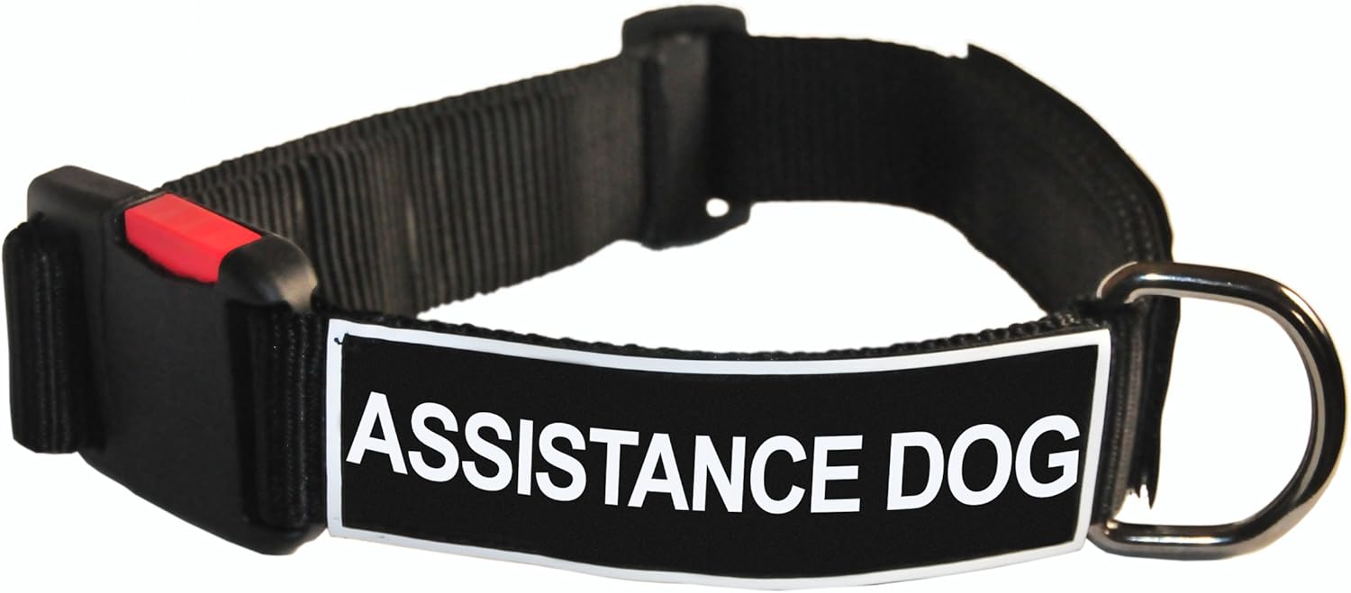 assistance dog patches