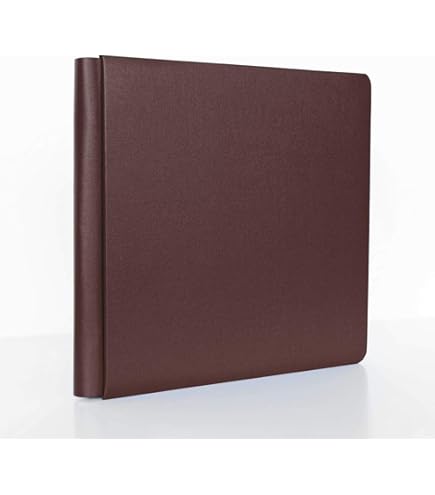 HOOP2003年12冊＋1冊 ほねほねザウルス 12冊 セット 子供 児童書-長納期商品