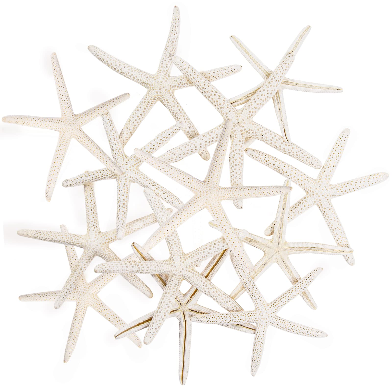 Photo 1 of 12 Natural Starfish for Crafts, 3.5''-4.7'' White Starfish Bulk Ornaments for Wedding & Beach Theme Party Decor & DIY Crafts
