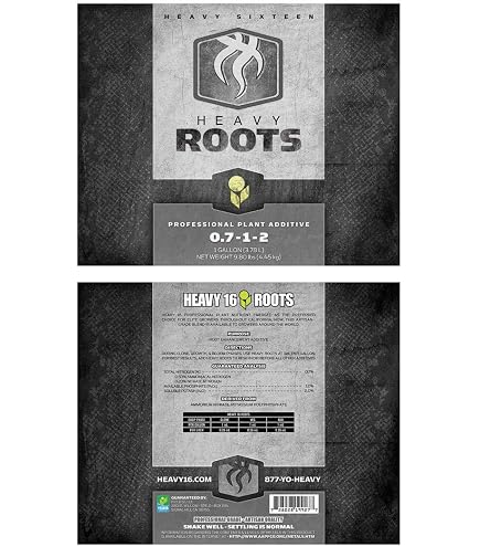 HEAVY 16 Roots 2.5 Gallon - Image 4