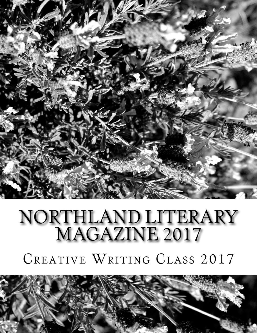 northland outdoors magazine on Buy Northland Literary Magazine 2017 Playing With Words Book Online At Low Prices In India Northland Literary Magazine 2017 Playing With Words Reviews Ratings Amazon In