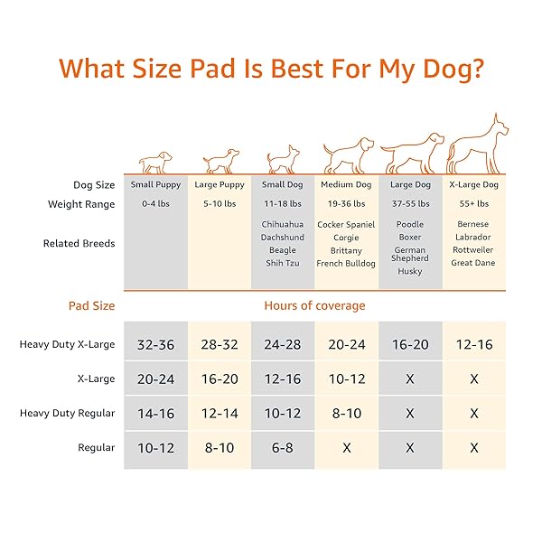 AMAZON BASICS DOG AND PUPPY PEE PADS WITH 5-LAYER LEAK-PROOF DESIGN AND SUPER ABSORBENT SURFACE FOR POTTY TRAINING, ODOR-CONTROL CARBON, REGULAR SIZE, 22 X 22 INCH – PACK OF 80, GRAY