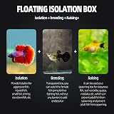 boxtech Aquarium Hatchery Breeding Box Aquarium Isolator 7.9x6.9x10.8 cm White view 4