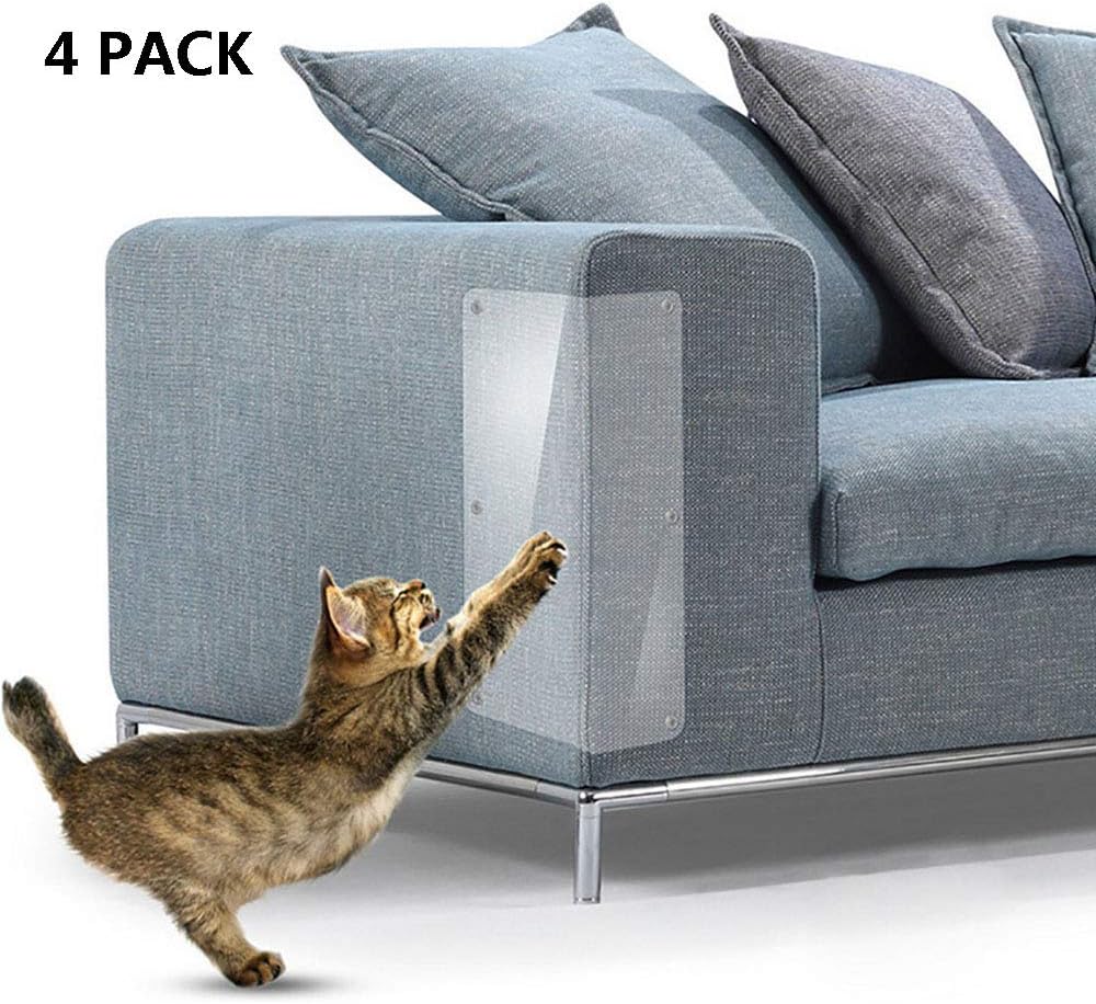 cat scratching leather