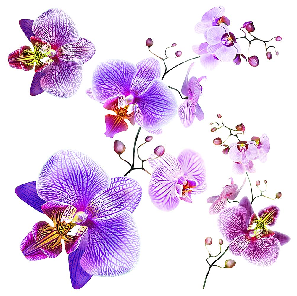 Orchids, a Set of self-Adhesive Stickers for Decorating Small Fragments of Walls, Furniture, Accessories, Packing 30x30 cm/12x12 inches SS 3859