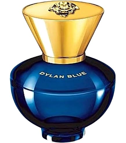 Versace Dylan Blue Pour Femme 3.4 oz Eau de Parfum Spray : Amazon