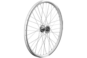 AkiiGer Adults Bicycle Wheels Rim for 3 Wheels Bike, Tricycle Left Wheels 20", Not Suitable for Bicycles, Tire Rims Replacement, Double Wall Alloy Rim, 36x13G Silver Spoke, Aluminum Alloy