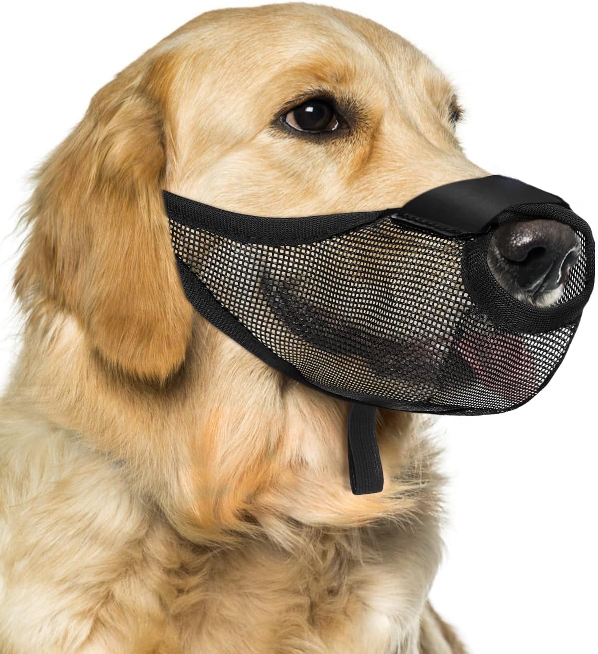 Photo 1 of Dog Muzzle, Mesh Muzzle for Small Medium Large Dogs Anti Biting Barking Chewing Scavenging, Breathable Adjustable Loop Pets Muzzle with Front Opening Design Allows Panting Drinking