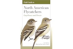 Field Guide to North American Flycatchers: Empidonax and Pewees