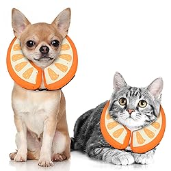 Dog Cone Collar for Small Medium Large Dogs for