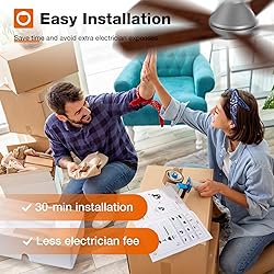 addlon Ceiling Fans with Lights, 42 Inch Low