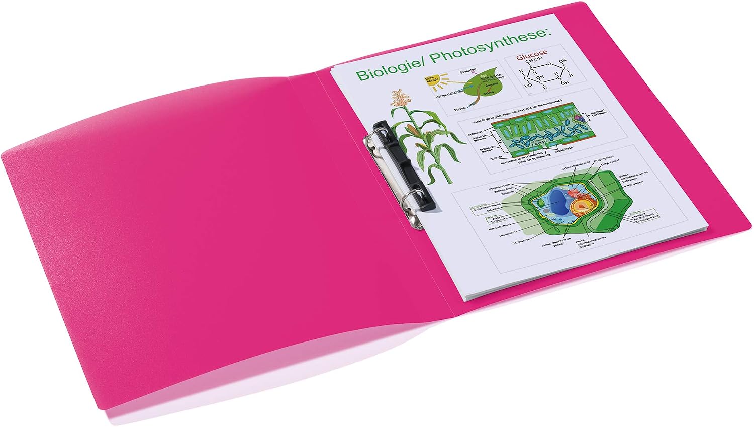 HERMA Ring Binder Translucent in Pink, A4, 25 mm Spine, Slim 2-Ring Binder Made of Plastic - Image 5