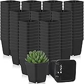 Yaomiao 200 Pack 3 Inch Black Nursery Pot Square Flower Pots Plastic Plant Succulent Planter Seed Starting Pots with Drainage Holes for Garden Office Balcony Decor Indoor Outdoor Plant Seedling