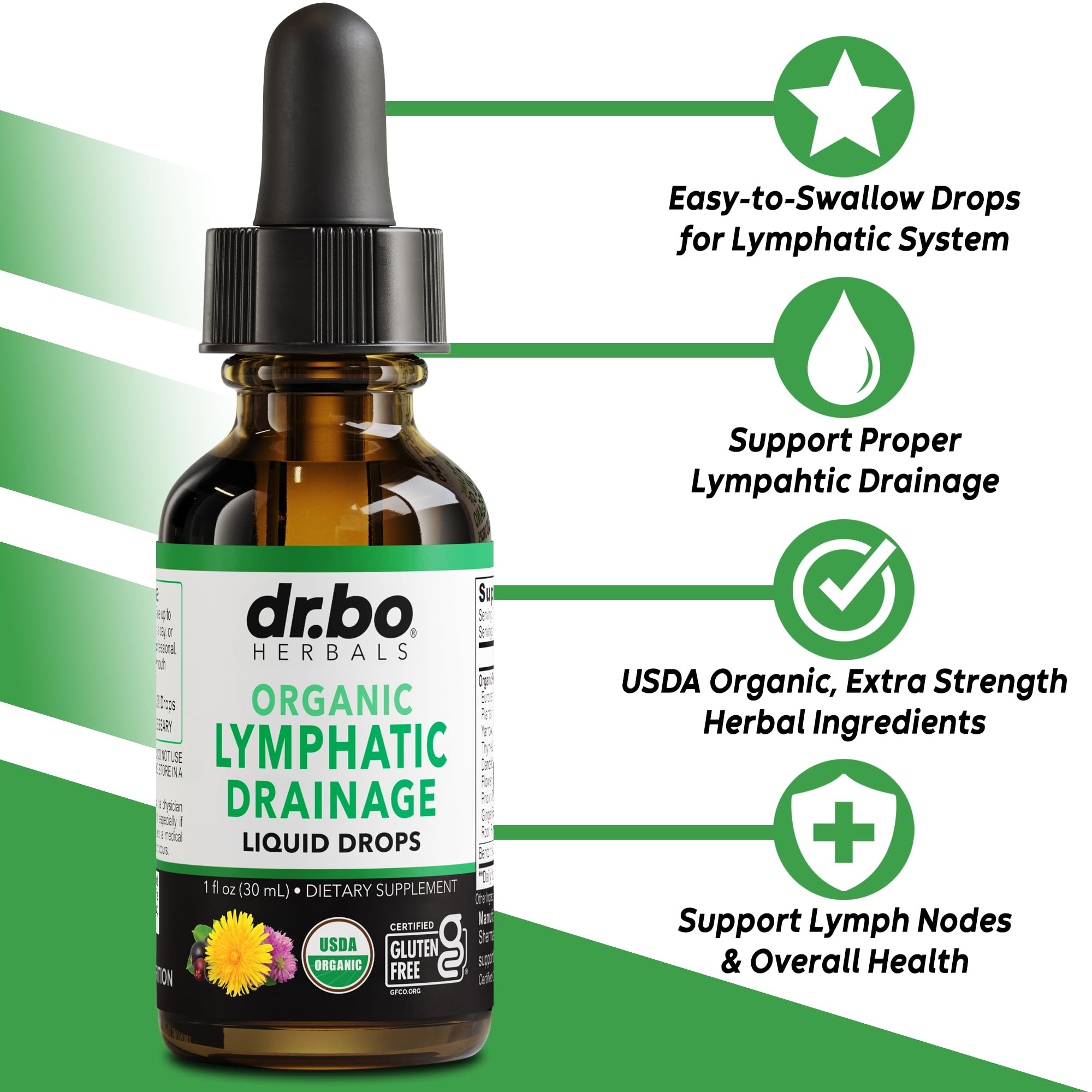 Lymphatic Drainage Supplements Drops - Organic Lymphatic Support Liquid Drops Cleanse with Echinacea, Lymph System Support Supplement, Lymph Node Detox Cleanse System Drainage - 1oz Non-GMO Organics