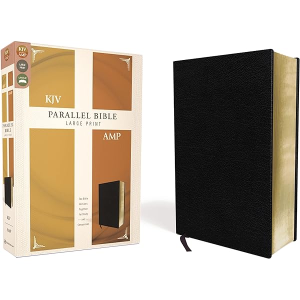 NIV, KJV, Parallel Bible, Large Print, Leathersoft, Navy/Tan: The