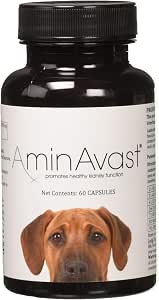 AminAvast Kidney Support Supplement for Cats and  - Amazon.com
