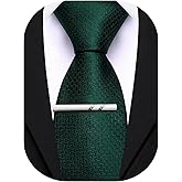 Barry.Wang Plaid Ties Mens Silk Necktie and Tie Clip Checkered Tie for Wedding Party Business Formal