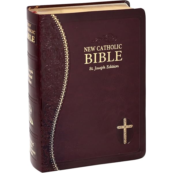 New Catholic Bible Med. Print Dura Lux (Blue) [Imitation Leather