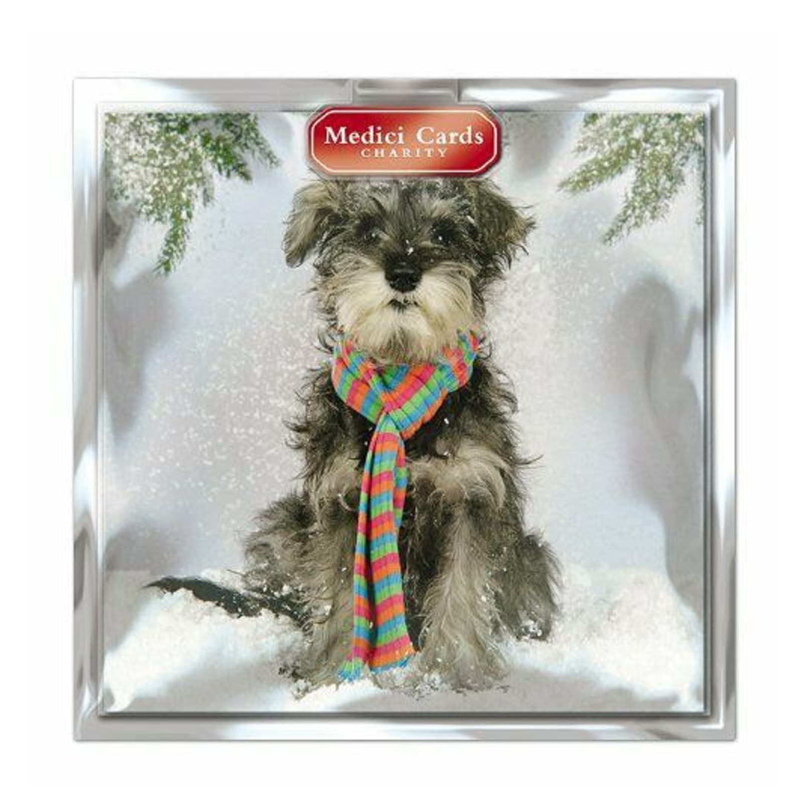 Charity Christmas Cards (CHMT0008) - Dog In Scarf - Pack of 6 Cards - Sold in Aid of Marie Curie, Alzheimer's Society, MS Trust, Shelter, Parkinson's UK, Oxfam
