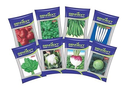 GENNEXT SEEDS Pack of 8 Vegetable Seeds Coriander, Beetroot, Radish, Beans, Turnip, Cabbage, Cauliflower and Spinach
