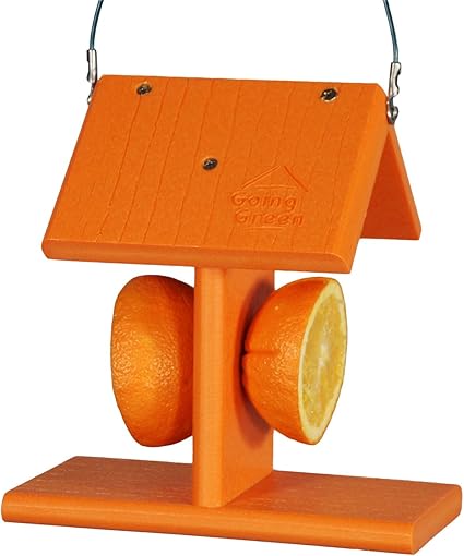 Woodlink Ggo2 Going Green Recycled Oriole Feeder Amazon Co Uk