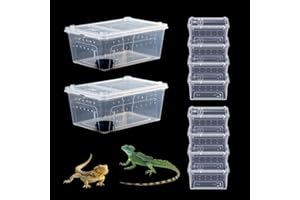 PINVNBY Reptile Feeding Box 10 PCS Snake Breeding Box Lizard Cage Habitat Hatching Container Transparent Portable Plastic Pet House for Spider Scorpion Gecko Tortoise Treefrog(White 2 Large 8 Small)