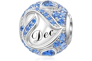 JIAYIQI Birthstone Charms for Bracelet Necklace 925 Sterling Silver Bead Love Heart Charms Happy Birthday Charms for Women