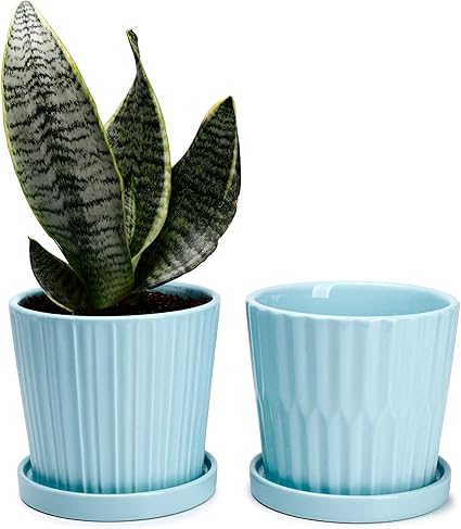 6 Inch Ceramic Flower Planters Indoor 