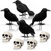 Teyva Daily 8 Pcs Halloween Crows and Skull Decorations Set, Black | Realistic Fake Crow, Plastic Mini Skulls Heads, Gothic Halloween Table Decor for Haunted House Indoor Outdoor Party Cemetery