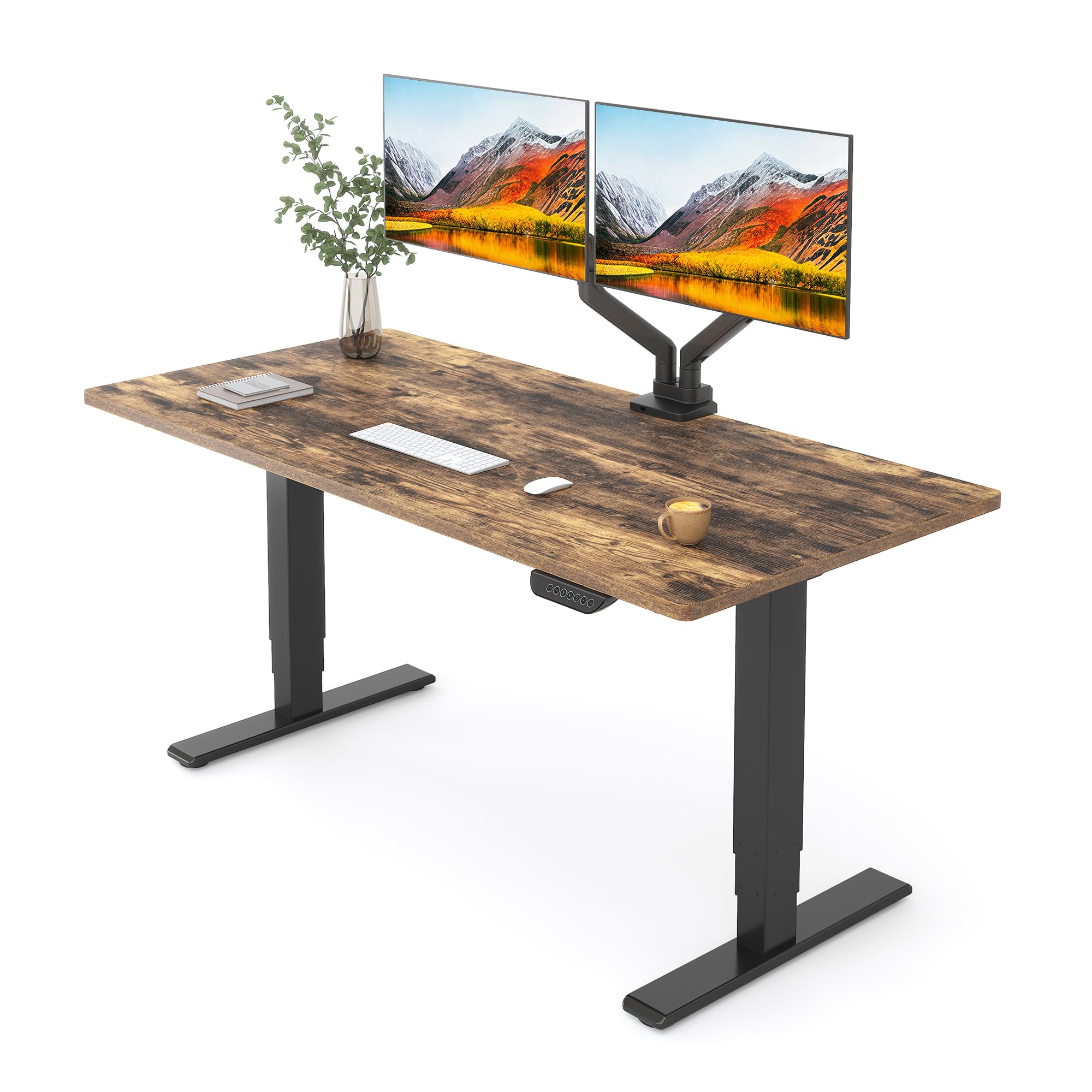 FLEXISPOT E6 MAX Dual Motor 3-Stage Electric Standing Desk, 55 x 28