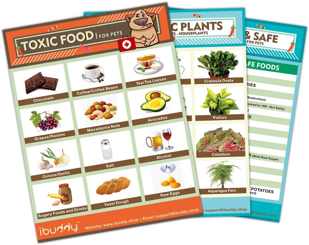 iBuddy Toxic and Safe Foods, Toxic Plants, Toxic Foods for Dogs, Set of 3 Fridge Sticker Refrigerator Fridge Safety Magnets Size 4.25" x 5.5".