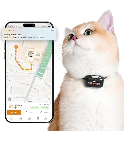 Amazon.com: Pawfit Lite for Cats 4g GPS Tracker | Ultra-Small