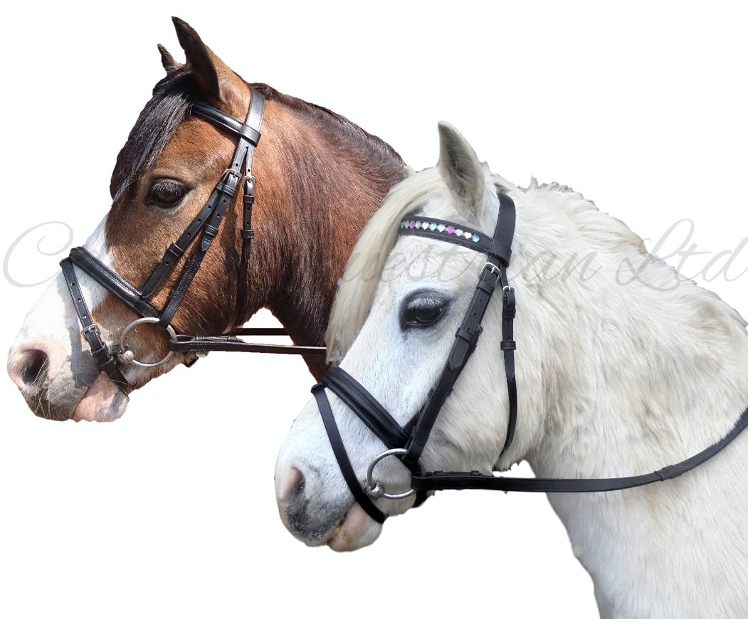 Canter Leather Flash Bridle with Rubber Reins. Shetland, Pony, Cob, Full NEW (Shetland, BROWN
