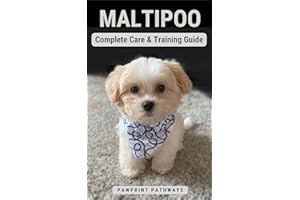 Maltipoo Complete Care & Training Guide: How to Give Your Pup His Best Life