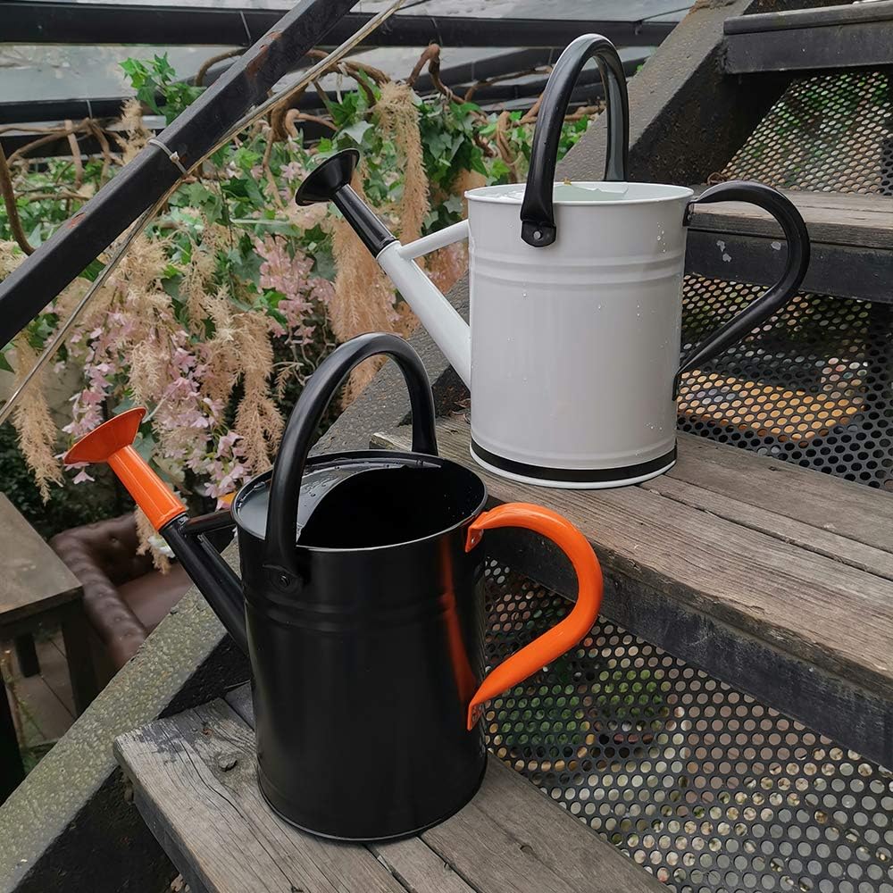 Cesun Metal Watering Can Galvanized Steel Watering Pot with Removable Spray Spout, Movable Upper Handle, Easy to Use for Outdoors Gardening, 1 Gallon-Baked Orange : Garden & Outdoor