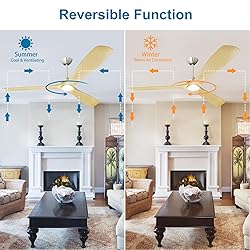 Depuley 60" Ceiling Fans with LED Lights and
