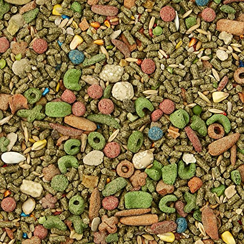 Kaytee Fiesta Guinea Pig Food, Nutritious and Fun Blend, Supports Dental Health and Digestion, 4.5 pounds