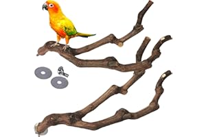 kathson Natural Parrot Perch Bird Stand Pole Wild Grape Stick Paw Grinding Fork Parakeet Climbing Standing Branches Toy Chewable Cage Accessories for Small Budgies Cockatiels Lovebirds 2PCS