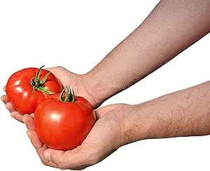 Tomato Red Deuce - 100 Seeds