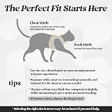 rabbitgoo Cat Harness and Leash Set Escape-Proof Extra Small Black Large view 2