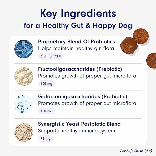 PETLAB CO. PROBIOTICS FOR DOGS, SUPPORT GUT HEALTH, OCCASIONAL DIARRHEA, DIGESTIVE HEALTH & SEASONAL ALLERGIES – SALMON FLAVOR – PACKAGING MAY VARY – 30 SOFT CHEWS