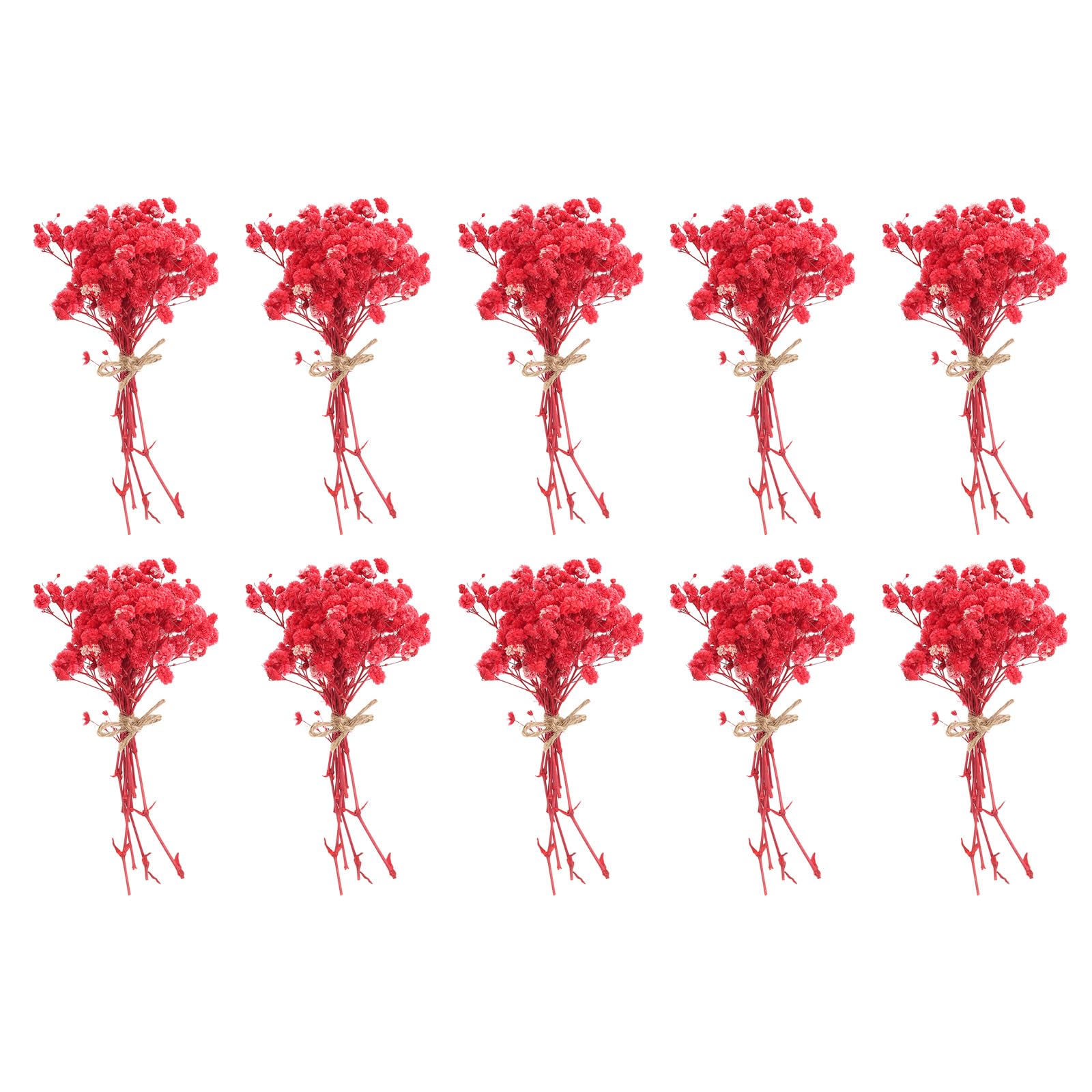 PATIKIL Mini Dried Flower Bouquet, 10 Pcs Baby's Breath Natural Wildflower with Stem Decor Boho Floral Plant Flower for Crafts DIY Photo Props Gift Wedding Decor, Red