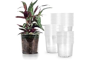 RAOOKIF 30 Pack 5/6/7 Inch Reinforced Clear Nursery Pots with Drainage Holes, Nursery Pots for Plants Variety Pack, Transparent Plastic Plant Pots for Seedlings, Seed Starters