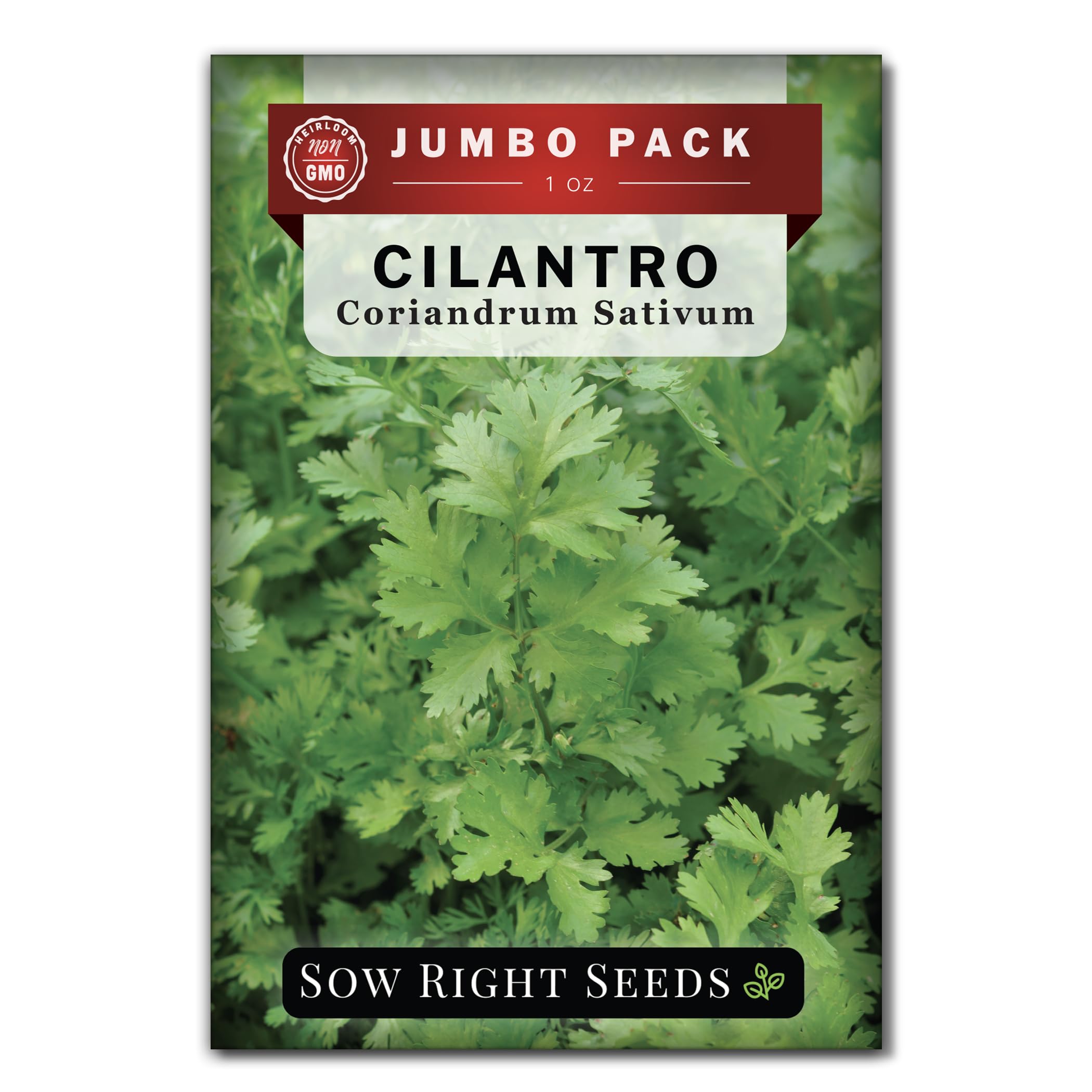 Photo 1 of Sow Right Seeds - Bulk Cilantro Seeds for Planting - 1 Ounce, 2000 Seeds - Non-GMO Heirloom Jumbo Pack with Instructions to Grow an Herb Garden - Great for Cooking - Make Loads of Coriander Seasoning